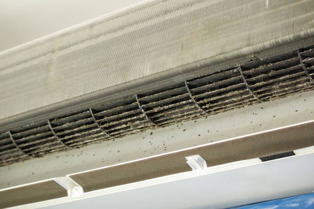 Best Air Duct Cleaning Near Me in Beulah, ND